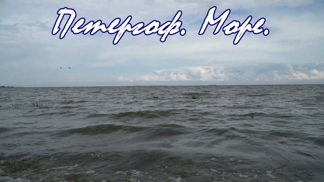 Петергоф. Вид на Балтийское море. Звуки прибоя. Ленинградская область. Пригород Питера Прогулка мор смотреть онлайн