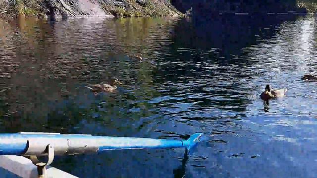 Мраморный каньон смотреть онлайн