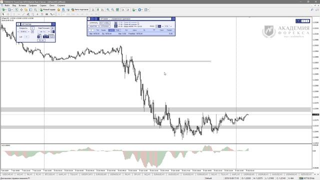 КАК УДВОИТЬ ДЕПОЗИТ ВСЕГО ЗА СУТКИ? | Вебинары Академии Форекса