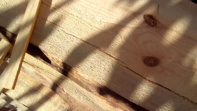 Доска из СУХОСТОЯ Ошибки при покупке пиломатериалов. смотреть онлайн