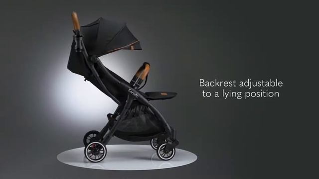 Lionelo - Carucior sport Julie One, De la nastere, Cu accesorii, Cadru din aluminiu, Pana la 22 kg смотреть онлайн