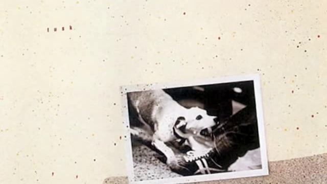 Fleetwood Mac - Honey Hi смотреть онлайн