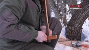 Лесная куница. Первичная обработка шкурки. Звероловы