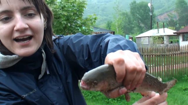 Форелевое хозяйство смотреть онлайн