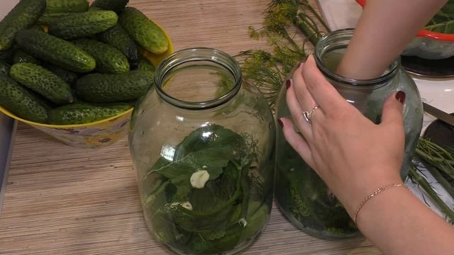 Цирк и Акробатика