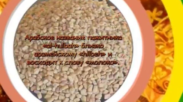 Пажитник смотреть онлайн