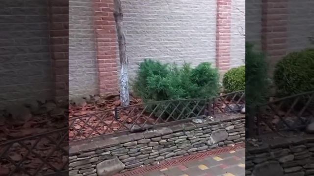 Мульчирование корой лиственницы. смотреть онлайн