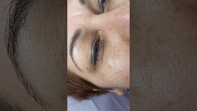 Зажившая работа верхнее и нижнее Веки ( перекрытие некачест-го татуажа ) мастер Светлана Яковенк смотреть онлайн
