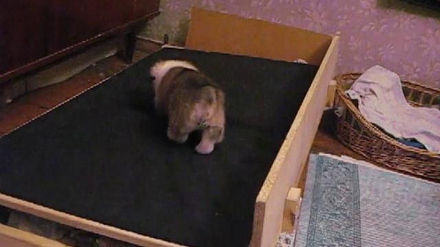 Детишки Лаймы смотреть онлайн