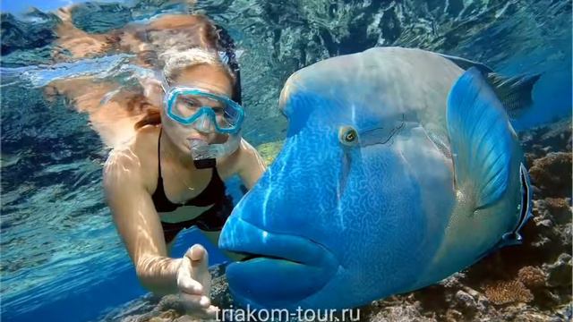 20 февраля 2019 г. смотреть онлайн