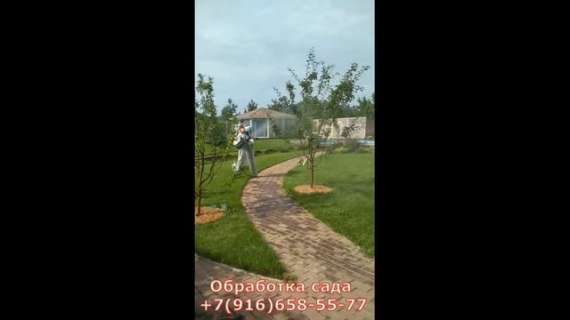 обработка сада от болезней и вредителей июль смотреть онлайн