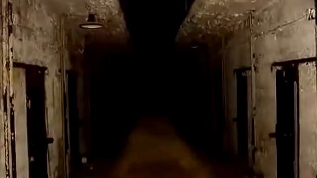 Видео не страшное! Там котенок в конце! Честно! смотреть онлайн