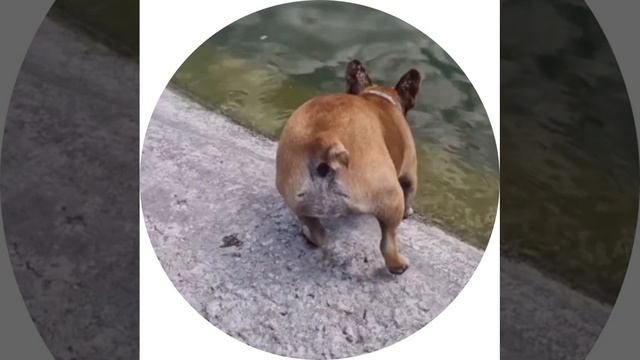 Надеюсь не утонешь