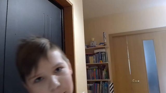 Гулянка с собакой