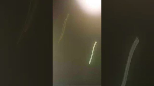 Гулянки Купание В Снегу смотреть онлайн