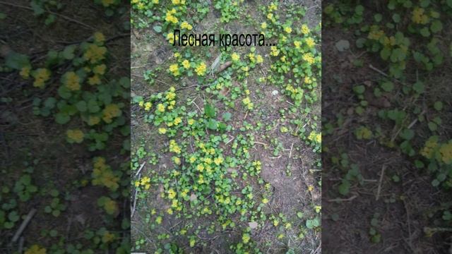 ВЫХОДНЫЕ/ДАЧА/ОТДЫХ смотреть онлайн