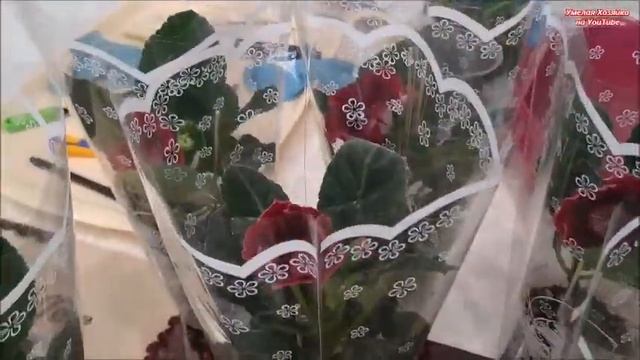 ТОРГУЕМ ЦВЕТАМИ ??? НА РЫНКЕ ? 5 минут ПОЗИТИВА и КРАСОТЫ ❤️ смотреть онлайн