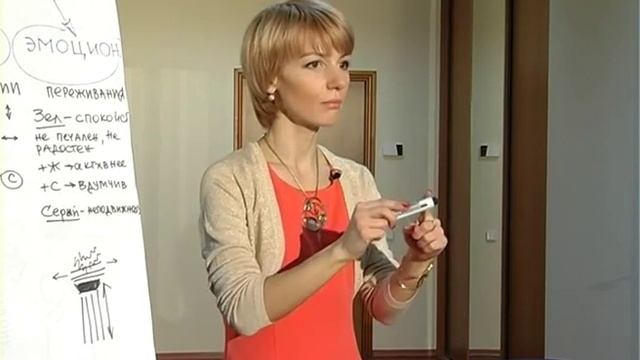 Стилист Е.Положай фрагмент семинара "Стиль и Макияж" колористика-ликбез смотреть онлайн