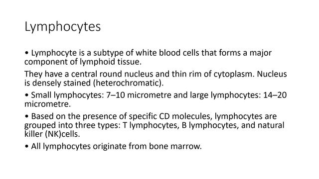 Histology ch.9 Lymphatic system (part 1) смотреть онлайн