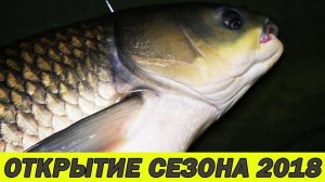 КАРПОВАЯ ЛОВЛЯ РАННЕЙ ВЕСНОЙ. Где искать карпа по холодной воде.