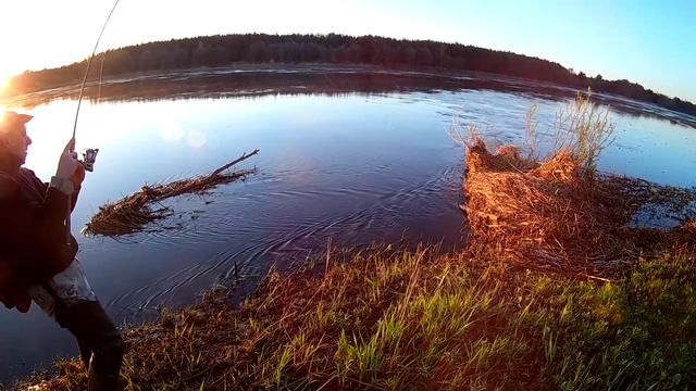 Неман, весенний жерех. смотреть онлайн