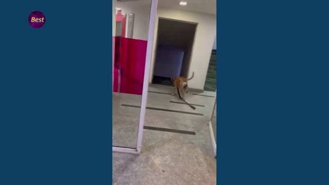 takemichi as смотреть онлайн