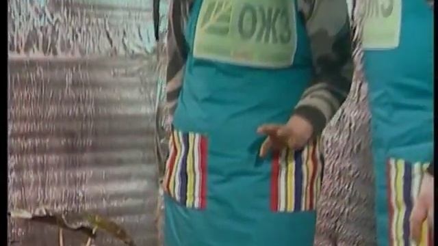 Пересадка комнатных цветов из транспортных горшков смотреть онлайн