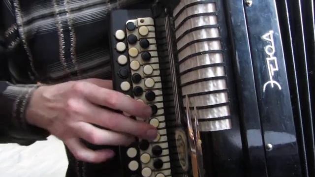 Червона рута - прост.версия на баяне смотреть онлайн