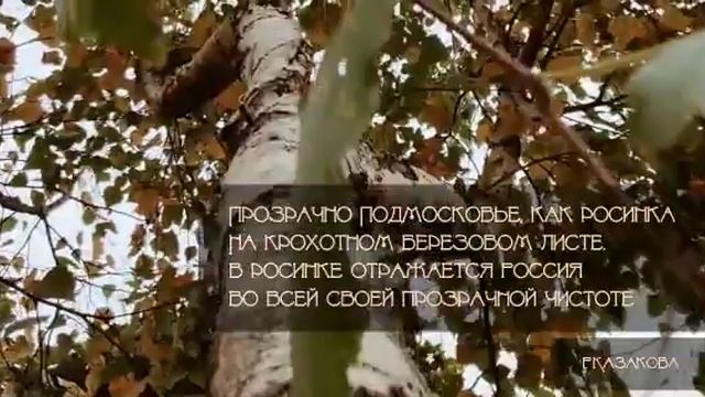 С днем рождения, Подмосковье! смотреть онлайн