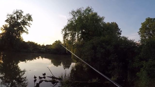 Як на ОКУНЬКА так і на СУДАКА! ОГЛЯД Azura X-Game X86ML 2.59м 3-18г Distance Arrow TZ смотреть онлайн