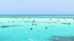 Египетские Мальдивы - Белый остров, Шарм эль Шейх, Снорклинг