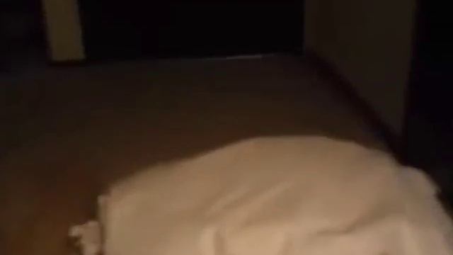 Обои на твой телефон или пк смотреть онлайн