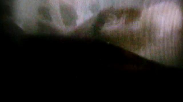 Morrey Eel Feeding Time смотреть онлайн