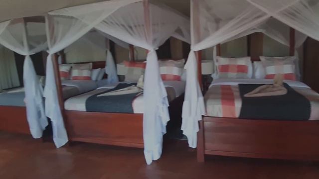 ACACIA CENTRAL CAMP смотреть онлайн