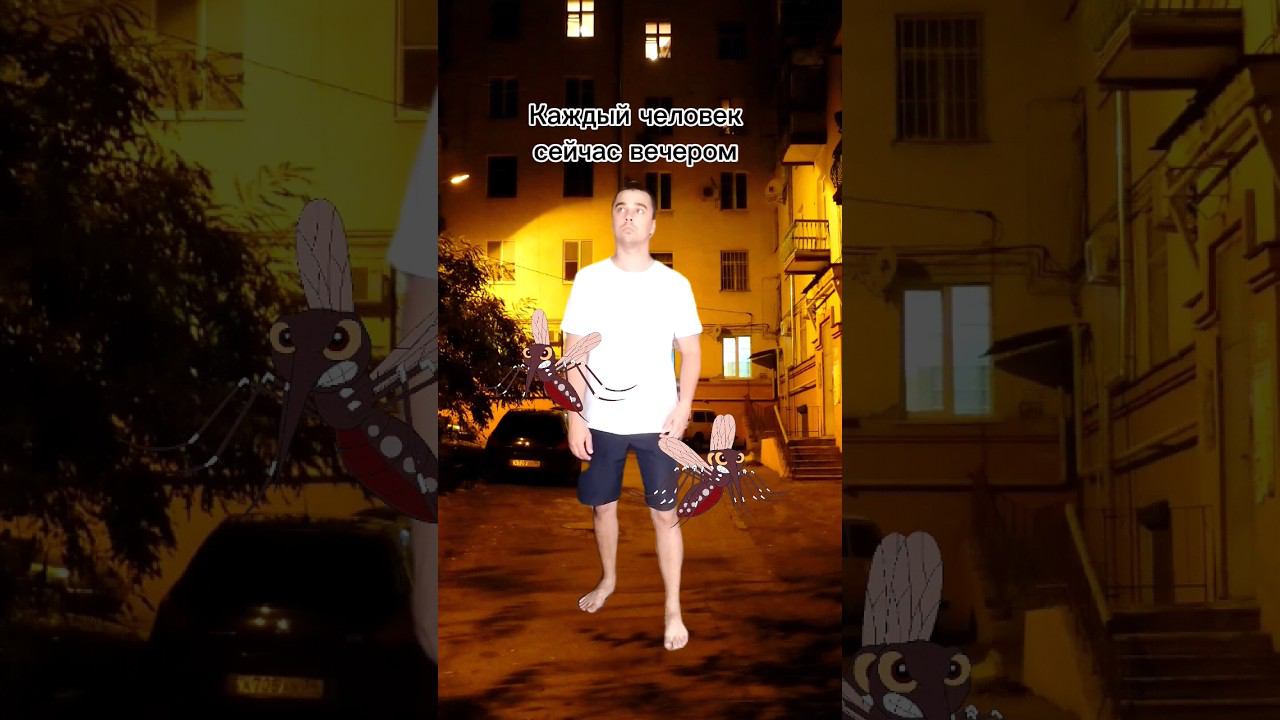 Лайк если бесят комары | Коммент если ты сам комар смотреть онлайн