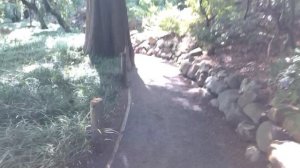 Нью-Йоркские парки