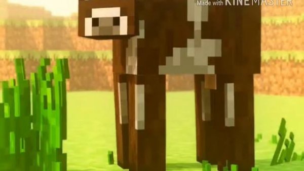 Кто ты из Minecraft по знаку зодиака.