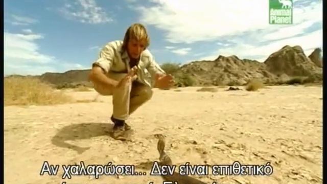 Austin Stevens - Seven Deadly Strikes смотреть онлайн