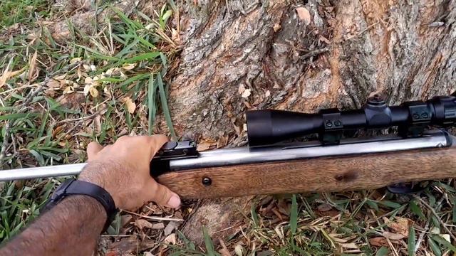 Bushnell 3-9*40 Ensayando mira telescópica. смотреть онлайн