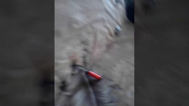 Скажи как мне дить есле нет стимула и как тварить смотреть онлайн