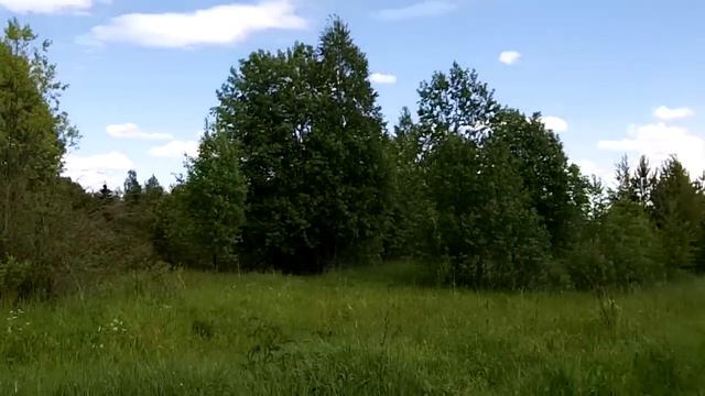 ВелоПВД Песь-Малая Вишера 9-12 июня 2012 2 смотреть онлайн