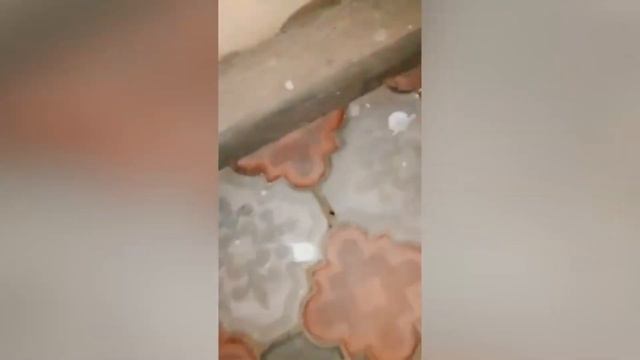 Зараз мы його зныщемо - Ось воно чмо смотреть онлайн