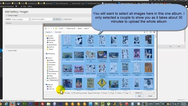 Wordpress NextGen Gallery смотреть онлайн