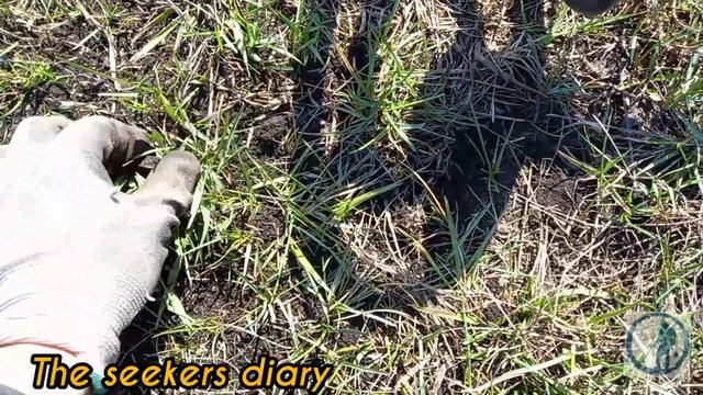 ✌?Не думал что будут такие находки. Поиск металла в поле смотреть онлайн