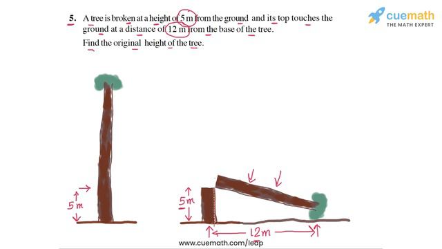 Class 7 Chapter 6 Ex 6.5 Q 5 Triangle & Its Properties Maths NCERT CBSE смотреть онлайн