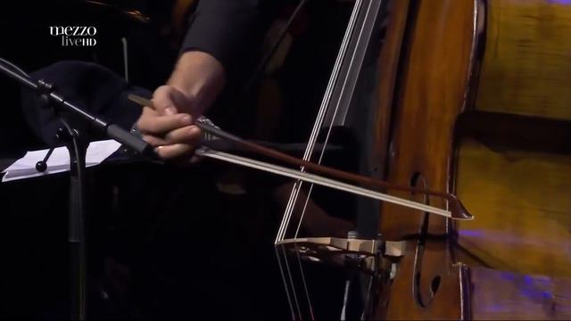 'An Evening with Avishai Cohen' live at Philharmonie de Paris 2016 (Full Concert) смотреть онлайн