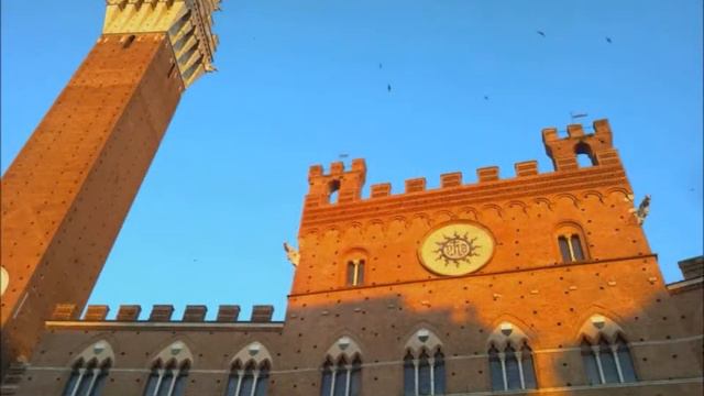 Haydn, Joseph Concert for 2 Horns Rondeau смотреть онлайн