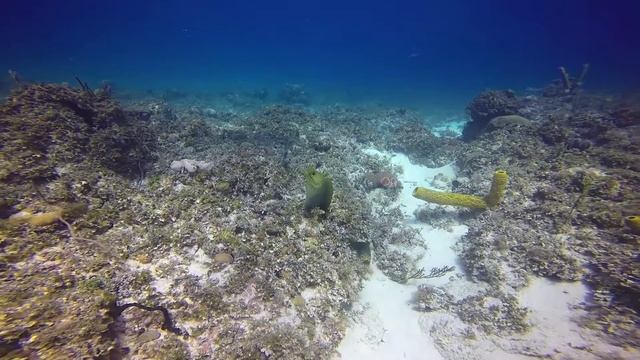 Isla de la juventud - Cuba смотреть онлайн