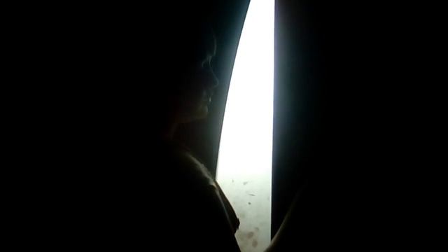 Проверка египетского кота,ГДЕ МОИ ПОДАРКИ смотреть онлайн