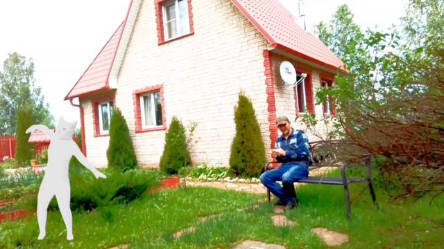 мой кот- альбинос😸 смотреть онлайн